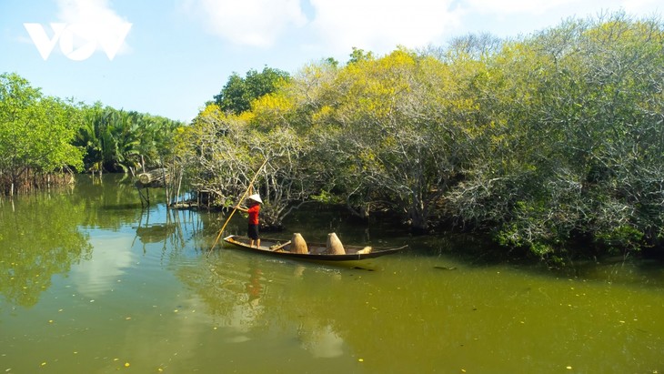 Vẻ đẹp mùa thay lá rừng Rú Chá - ảnh 6