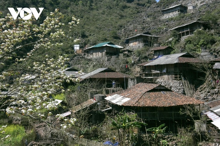 Những “bông hoa dại” trên Cà Lò sỏi đá - ảnh 2