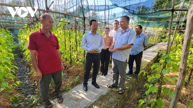 Về Hậu Giang ngắm làng trầu lớn nhất miền Tây - ảnh 15