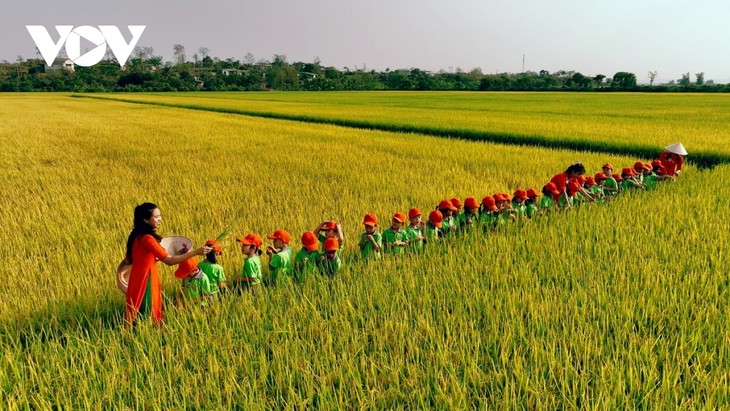 Đồng xanh, mùa vàng ở nơi giao duyên giữa sông sâu và núi lửa - ảnh 10