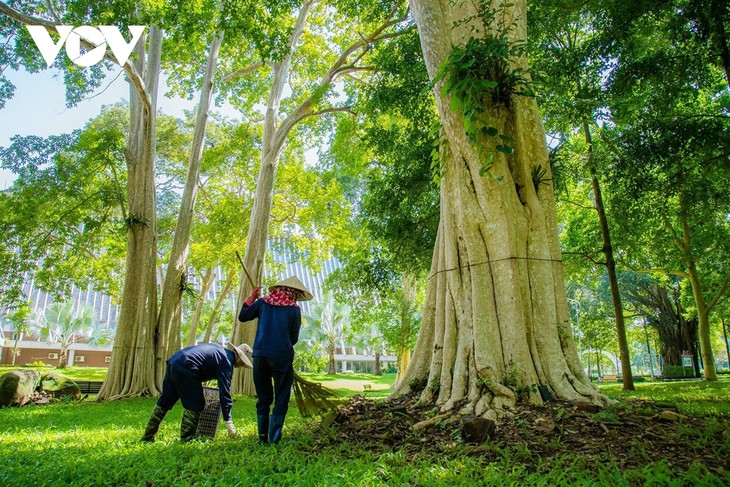 Rừng trong phố, phố trong rừng ở đô thị trăm năm tuổi - ảnh 3