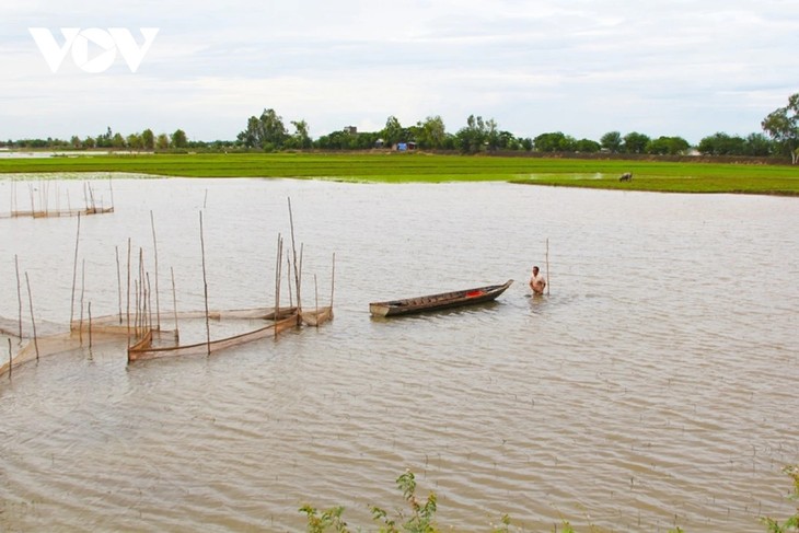 Về Đồng Tháp trải nghiệm du lịch mùa nước nổi - ảnh 1