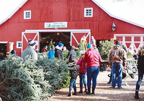 Christmas celebration in the US - ảnh 2