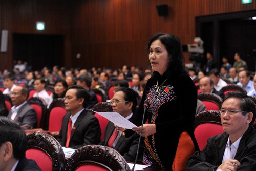 第13期ベトナム国会第2回会議の質疑応答 - ảnh 1