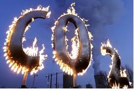 気候変動への対応をめぐる問題 - ảnh 2