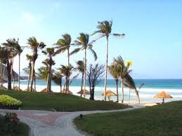 ベトナムの春、夏、秋、冬の風景を描いた歌 - ảnh 2