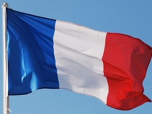 ホーチミン市、仏の独立記念日を祝う - ảnh 1