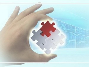 シンガポールで「2.0ビジネスパートナ」開かれる - ảnh 1