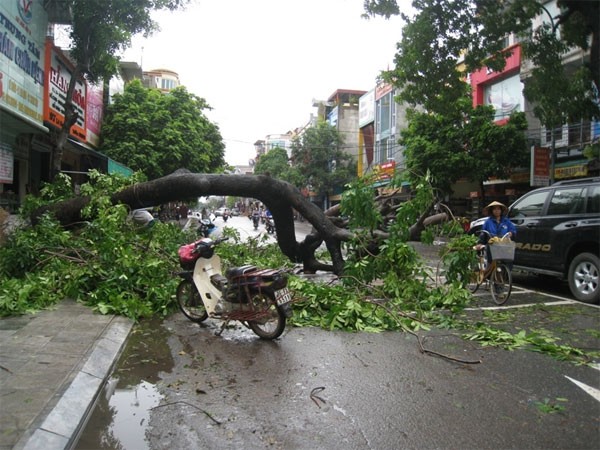 台風マンクット、ベトナムに上陸 - ảnh 1