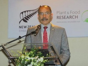 NZ総督、各企業の代表と会合 - ảnh 1