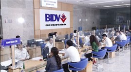 「アセアンの有名なブランド」授賞式 - ảnh 1