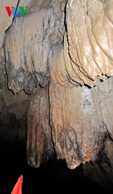 ユネスコ、チャンアン景勝地調査 - ảnh 2