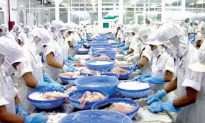 ベトナムとブラジルとの貿易が急増 - ảnh 1