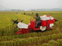 国家目標プログラムの実施 - ảnh 1