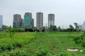 22日午後の国会、土地法改正案が討議される - ảnh 1