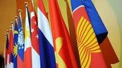 在ベトナムACWCの活動を総括する会議 - ảnh 1