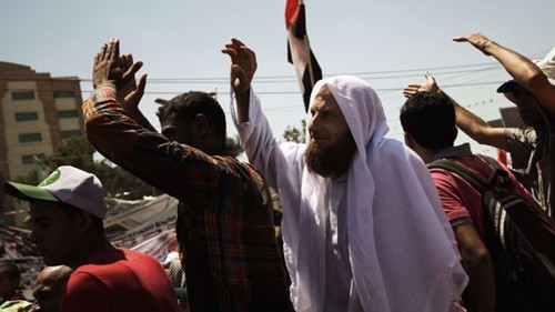 エジプト外相「民主化は着実」 - ảnh 1