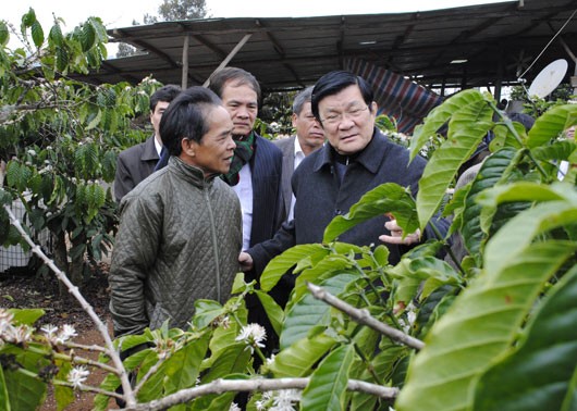 サン国家主席、ダクノン省　視察 - ảnh 1