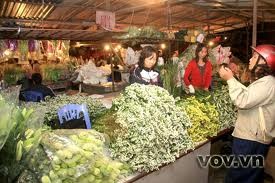 ベトナム正月テトの花市場 - ảnh 2