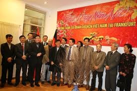 母国でテトを迎える国外在留ベトナム人 - ảnh 1