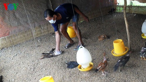 鳥インフルエンザ予防で、全国各地とテレビ会議を開く - ảnh 1