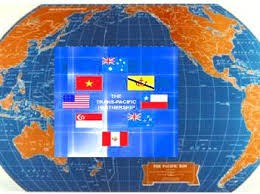 ＴＰＰへの交渉に参加しているベトナム - ảnh 1