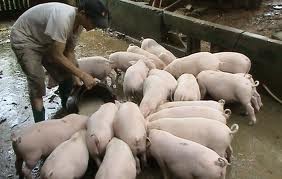 貧困解消政策実施状況と14年の計画を討議する会合 - ảnh 1