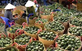 南西部地域の貧困解消に取り組む - ảnh 1