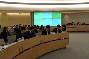 国連駐在越大使、人権保護でアセアンの努力を強調 - ảnh 1