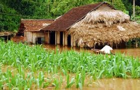 気候変動対応策に関する政策を討議するシンポジウム - ảnh 1