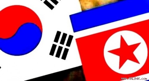 朝鮮半島の緊張情勢 - ảnh 1