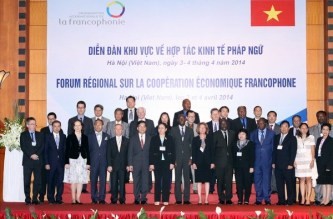 外務省、OIF経済協力フォーラム開催 - ảnh 1