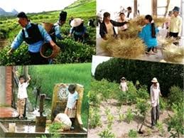 少数民族居住地の貧困解消に向けて - ảnh 1