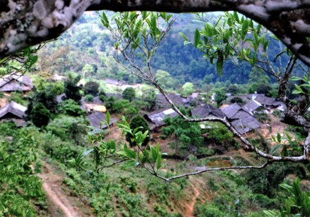 モン族の独特の住居 - ảnh 1