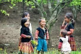 越、人権擁護に取り組む - ảnh 1