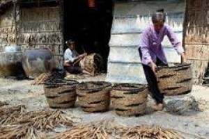 プログラム３０A 号の実施状況でシンポ開催 - ảnh 1