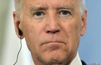 ウクライナ大統領、米副大統領と電話会談　 - ảnh 1