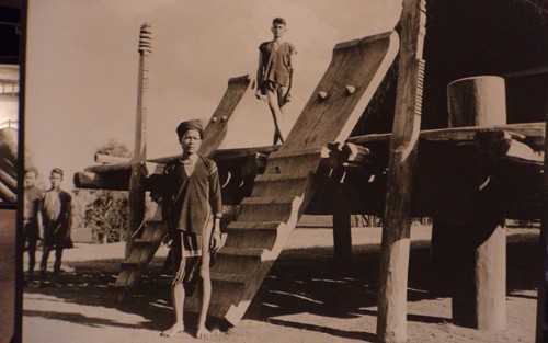 先週の文化スポーツニュース7日から - ảnh 1