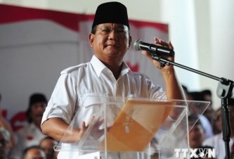 インドネシア大統領選で異議申立 - ảnh 1