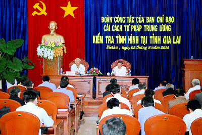 司法改革指導委、ザライ省　視察 - ảnh 1