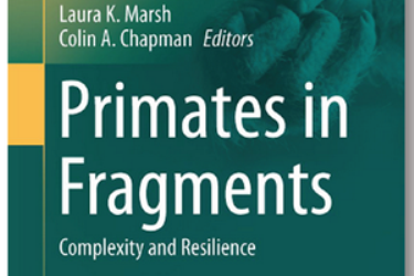 ハノイで、第25回霊長類国際会議が開かれる - ảnh 1