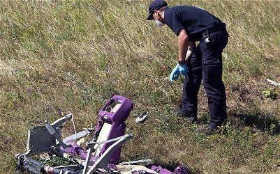 豪首相、オランダを訪問　ＭＨ１７ - ảnh 1