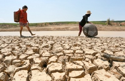 気候変動への対応に向け各国のコンサルタントを伺った - ảnh 1