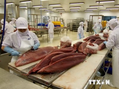 露、越からの水産物一時輸入停止を解除 - ảnh 1