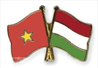 ＨＣＭ市、ハンガリー独立を記念する式典開催 - ảnh 1