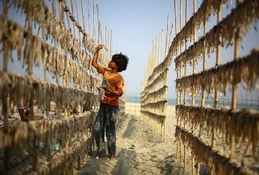 児童労働の削減とその防止プロジェクトに向けて - ảnh 1