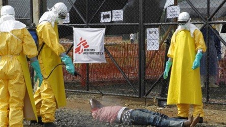 エボラの致死率７１％、「対策に抜本的改善を」WTO - ảnh 1