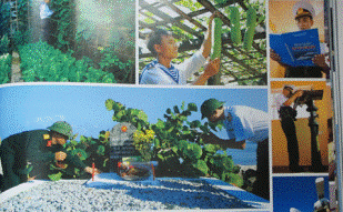 写真家グェン・アの芸術写真で座談会が開かれる - ảnh 1