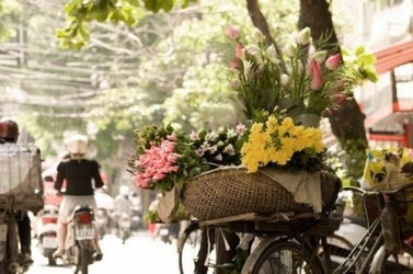 「ハノイよ」をテーマとした写真展が始まる - ảnh 1