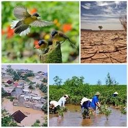 ズン首相、気候変動対応計画を承認 - ảnh 1